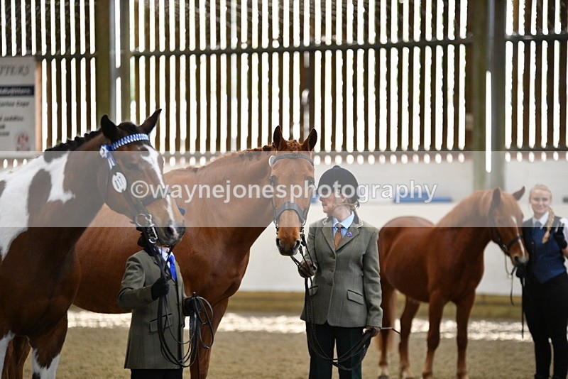 WJ5_4088 - Class 2 Best Condition In hand