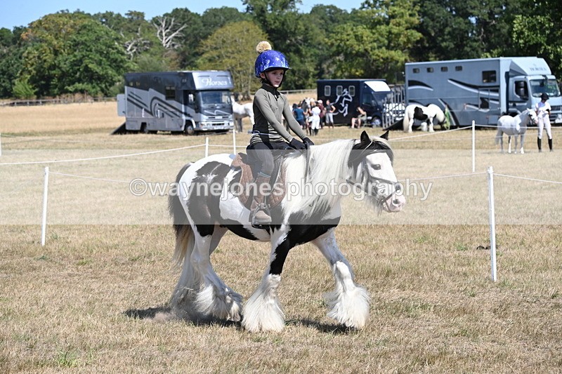 WJ6_9159 - Championship Classes 33-38