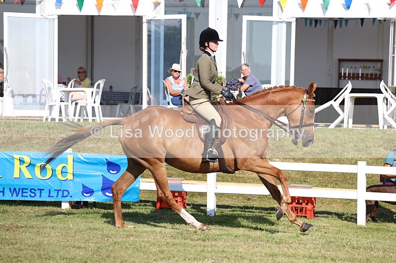 3E7A5552 - Class 2: Rising Star Large Hack/Riding Horse