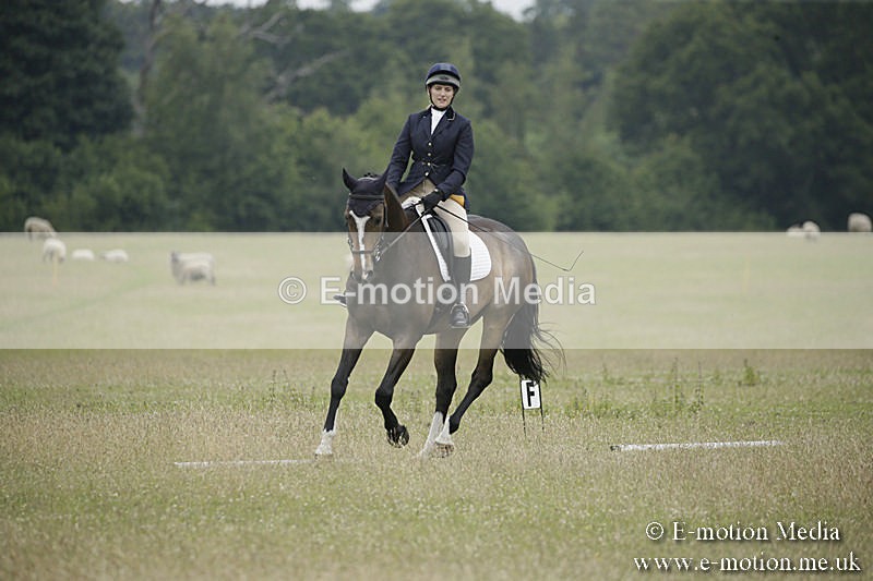 B230619-0901 - Bourne Valley Riding Club Summer Show 23/06/19