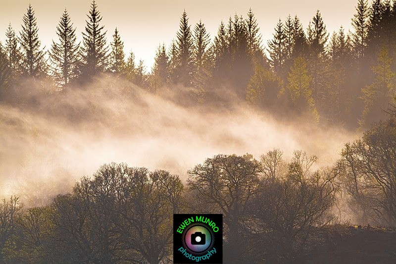 L-11-Midday Mist, Loch Etive - 'LUMINAL'