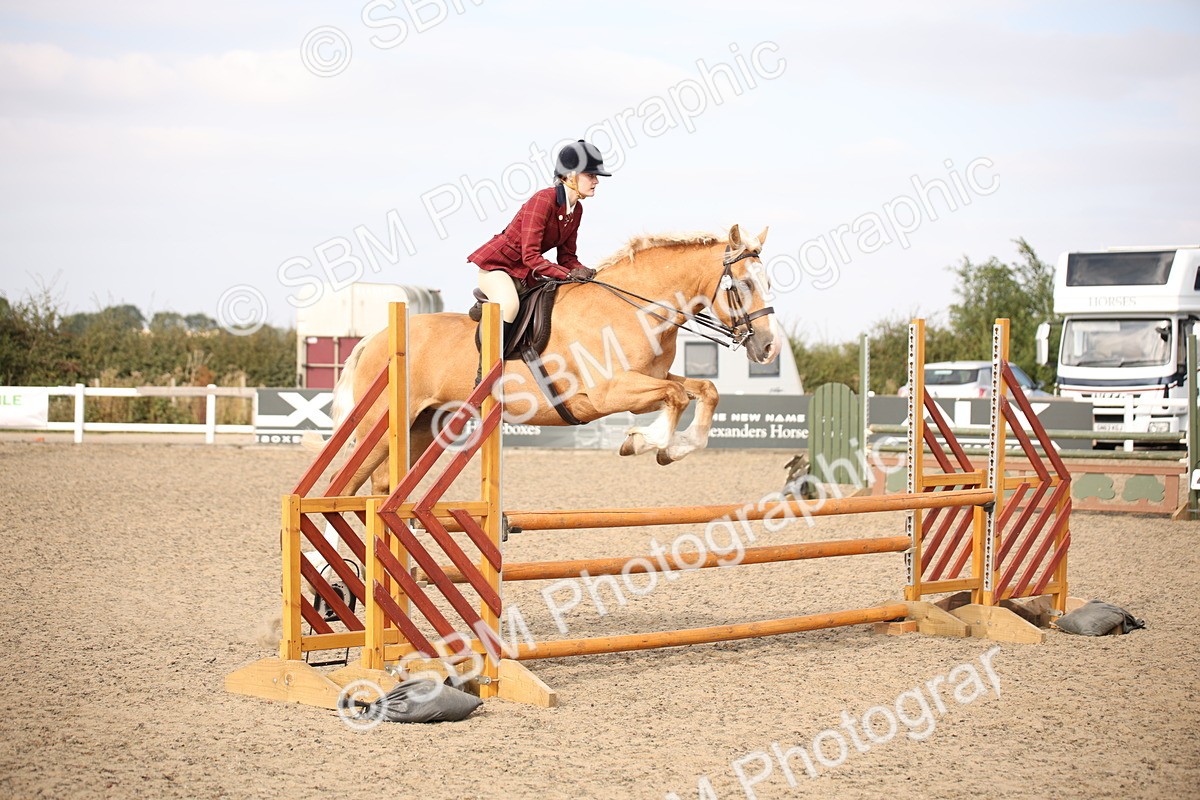 SBM_17260 - Class 410a - Wor5king Veteran 90cm (15-19)