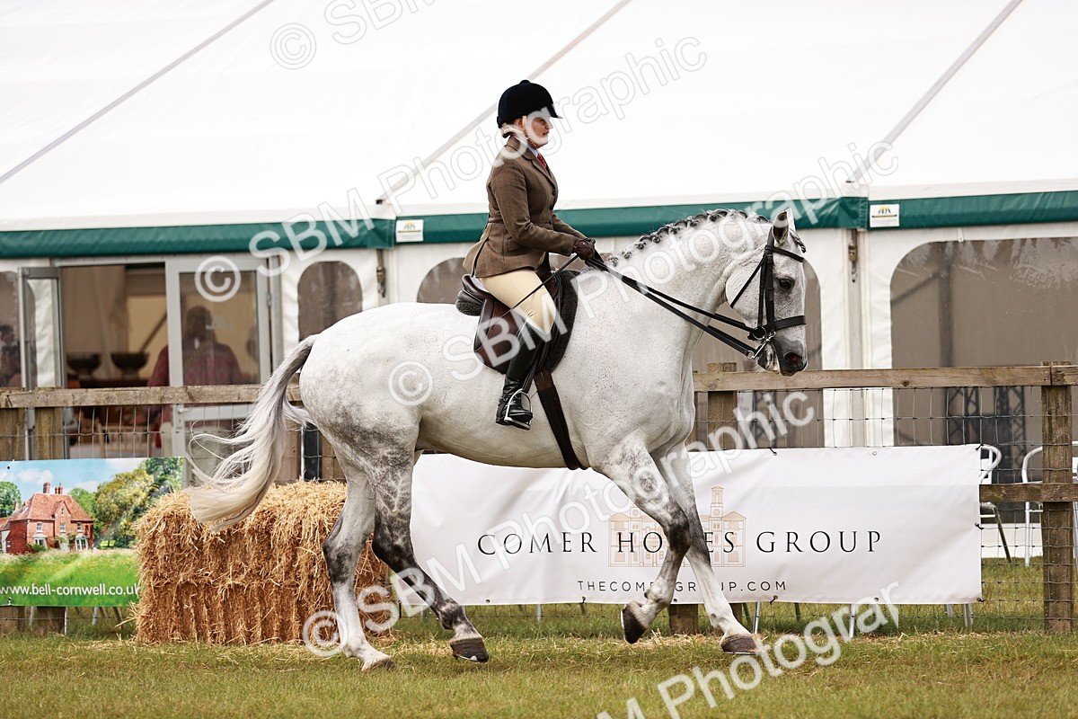 SBM_11554 - Class 81-84 - RIHS Ridden hunters Inc Ladies Hunter