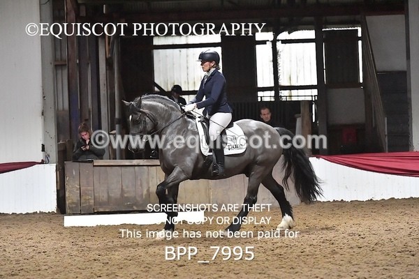 BPP_7995 - ELEM TEST 6