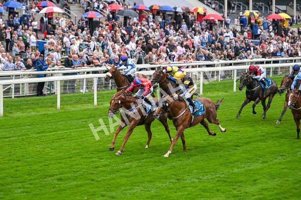 080925-Race 2-Alzahir-7418 - Race 2 3.00pm Sky Bet Super Sub Sprint Handicap