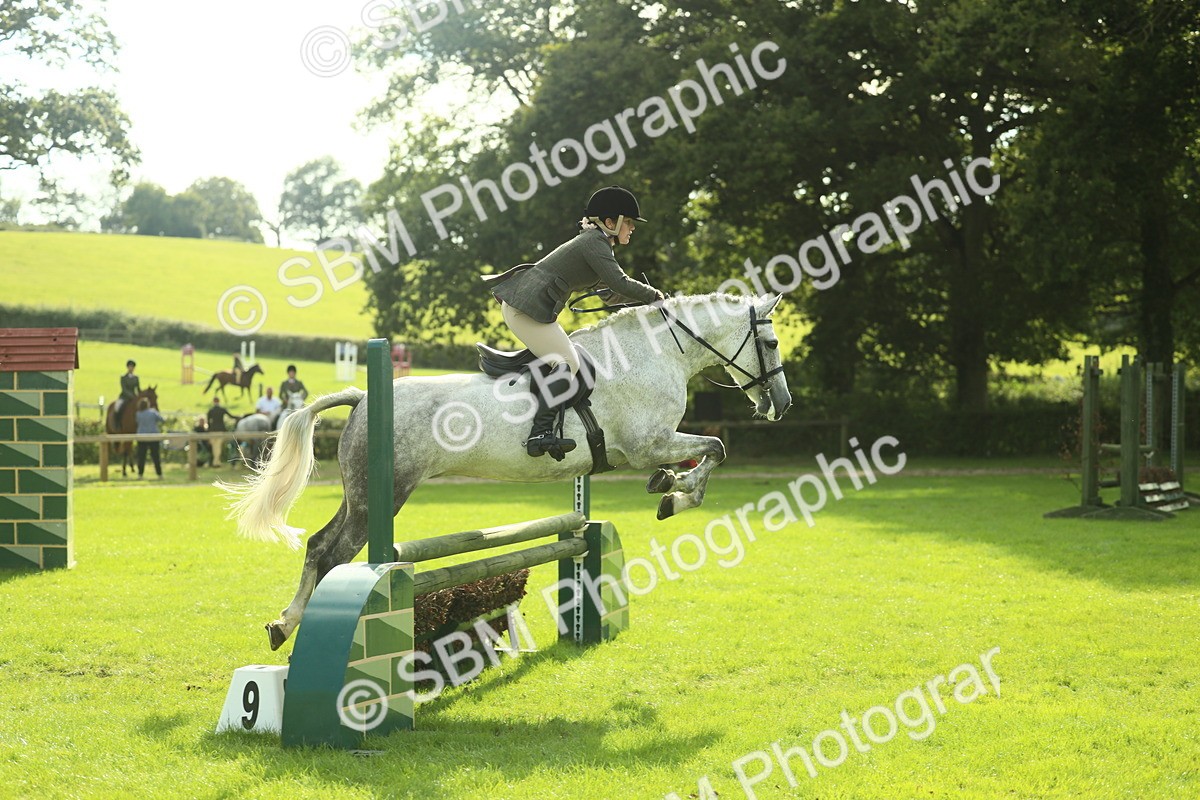 SBM_50649 - S33 - Working Hunter & Working Show Horse