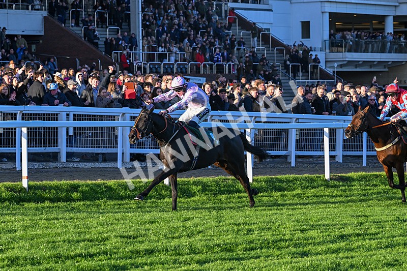 251025-Race 7-Chicker-0338 - Race 7