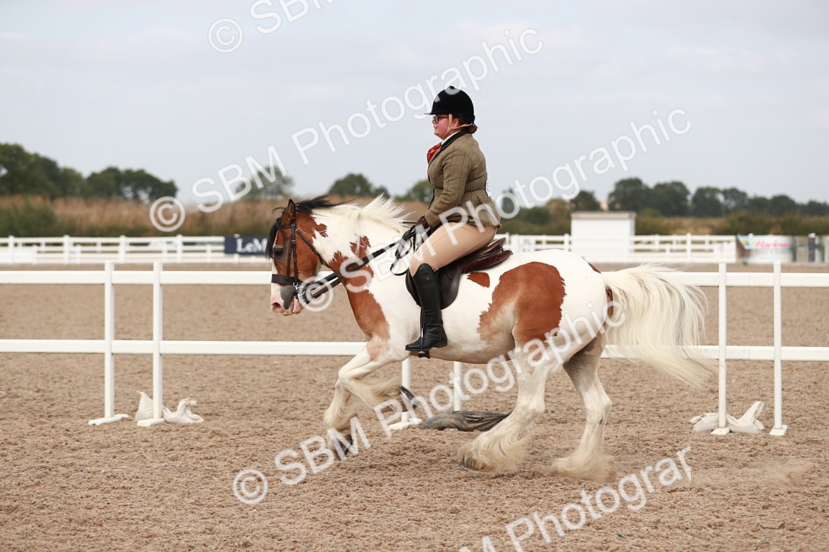 SBM_16699 - Class 214 Ridden Cob