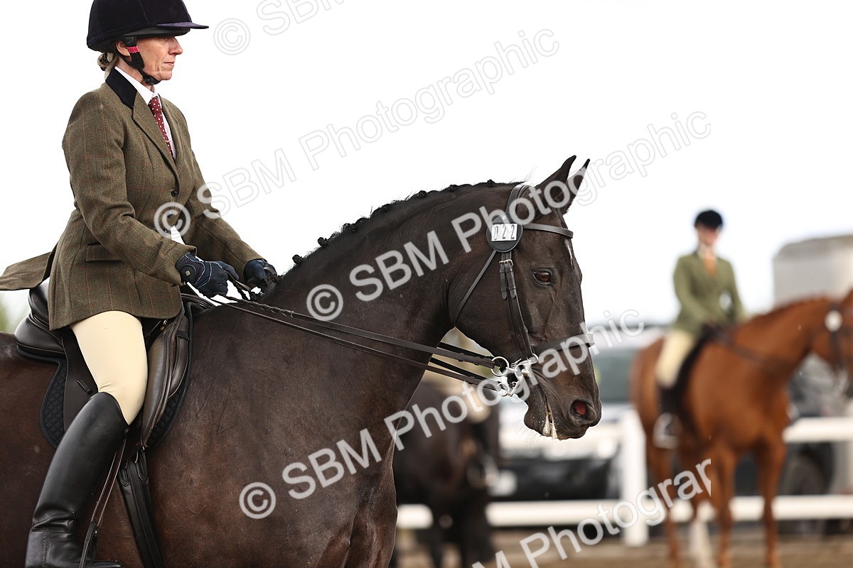 SBM_00677 - Class 53 - Ridden Competition Horse Pony