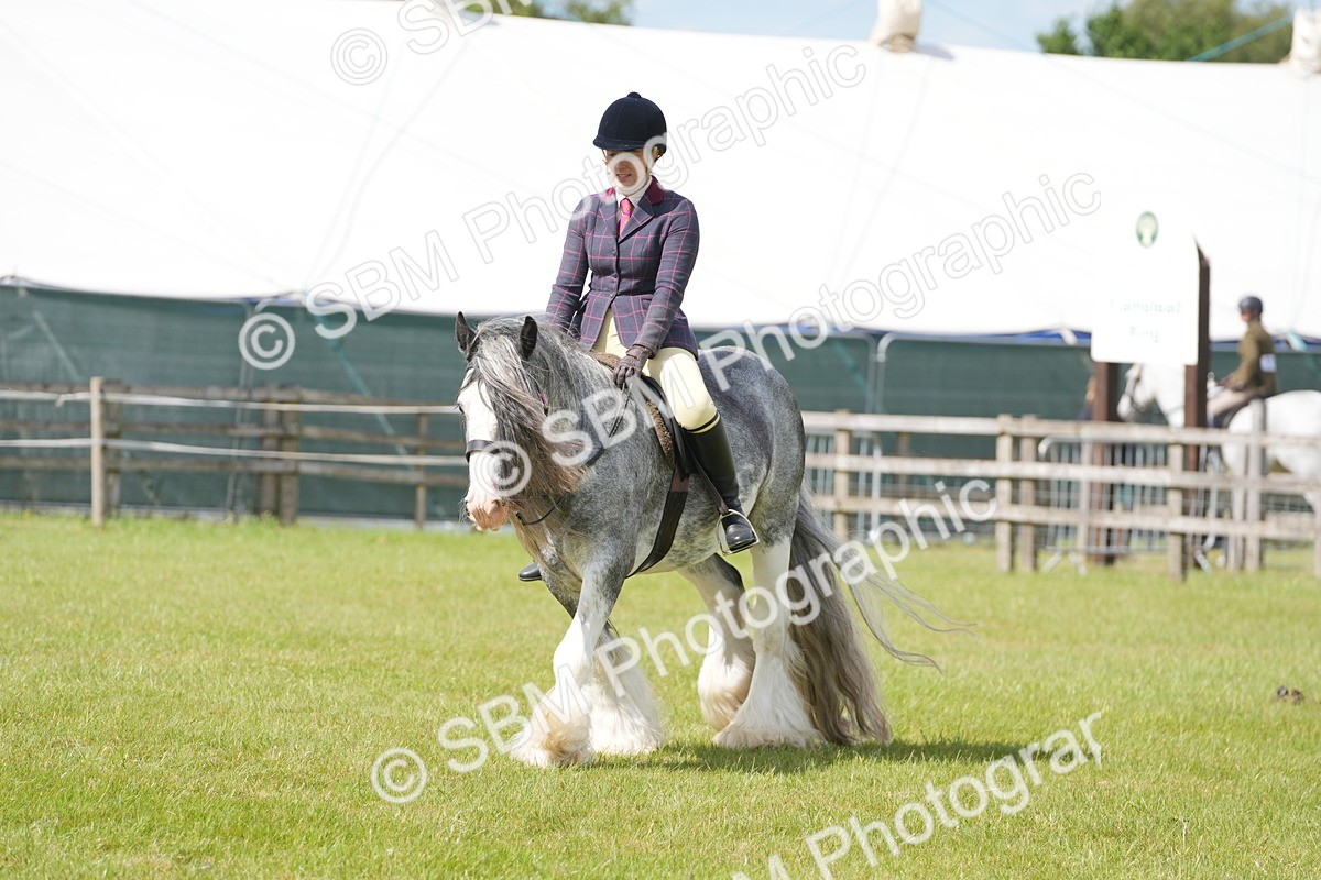 SBM_17304 - Class 107-108 - LIHS BSPS Performance Coloured Horse Pony