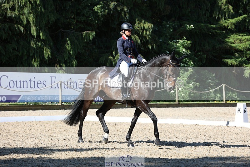 230526-093105-05088 - 355-JASON_KING-Izzy_Taylor-WEDTrotUp+DR