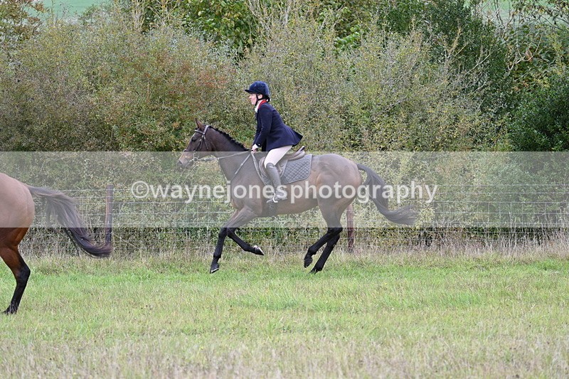 WJ7_3996 - Camera 1 Line 1