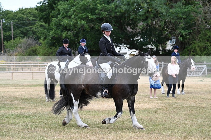 WJ7_1079 - Class 3 Family Mount