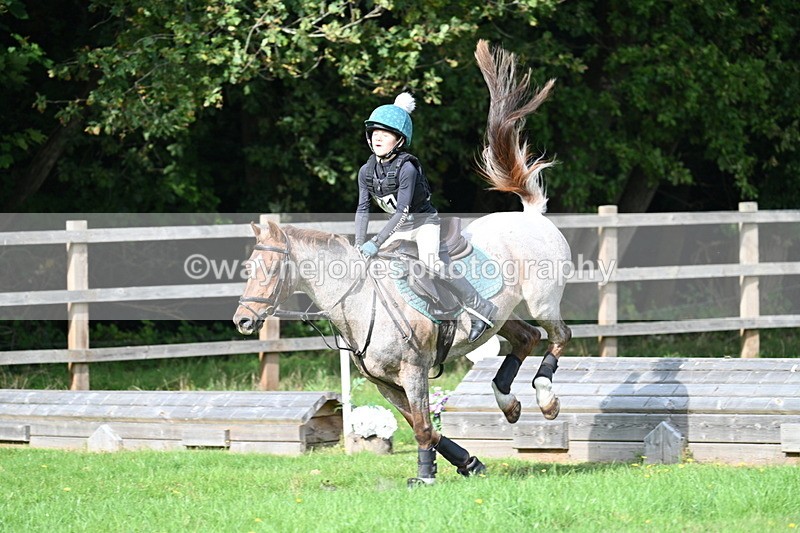 WJ7_5033 - 60cm Time 11:11 to 11:19