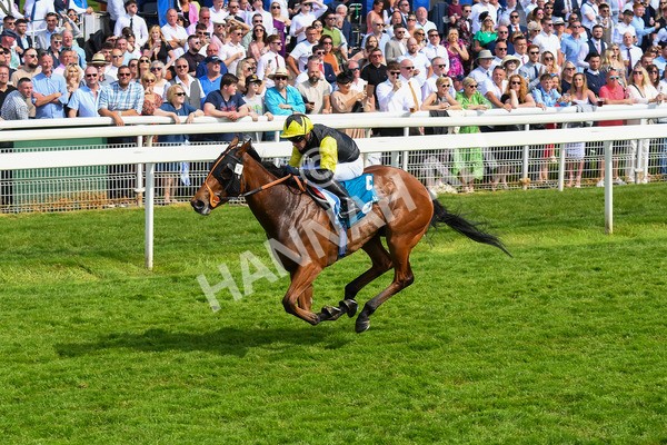 270523-Race 5-Starnberg-0778 - Race 5 3.50pm William Hill Extra Place Races Daily Handicap