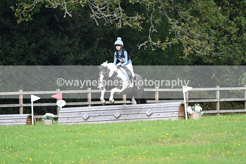 WJ7_4677 - 60cm Time 11:03 to 11:10