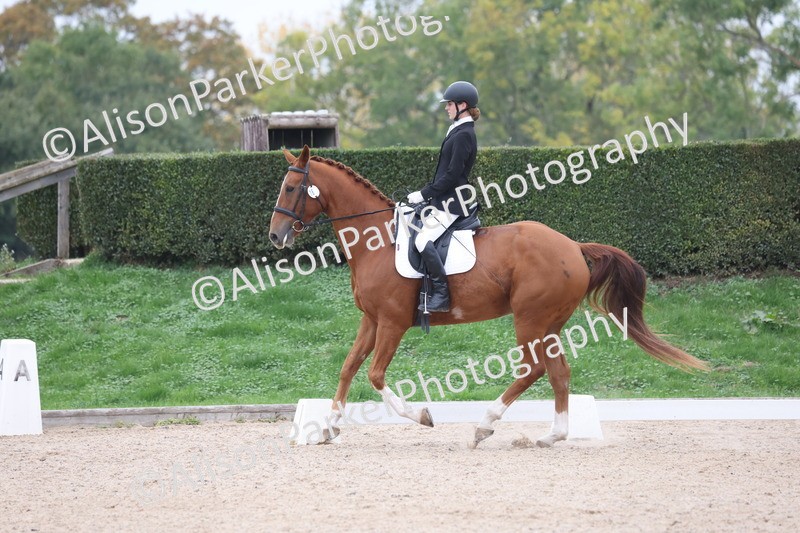 20251011-0555 - Class 6 - Elementary 1