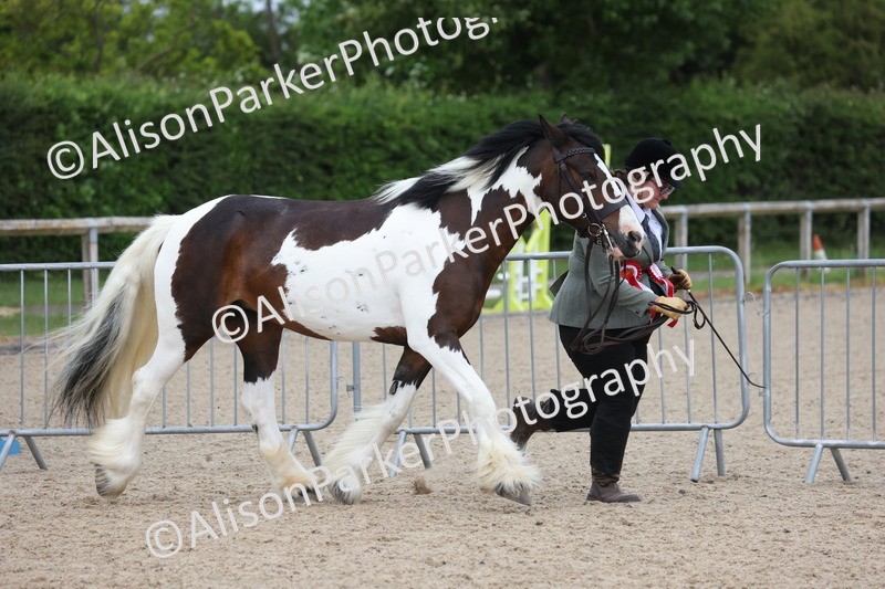 20250524-1085 - Championship