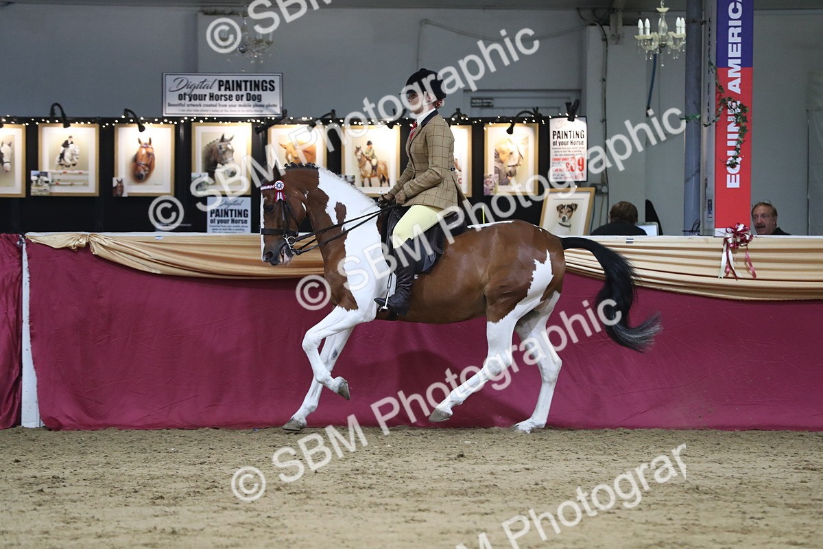 SBM_08445 - Class 11R Regional Ridden Veteran