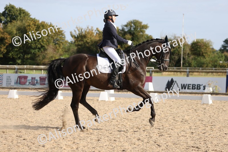 20250820-1692 - Class 22 - Advanced Medium 6