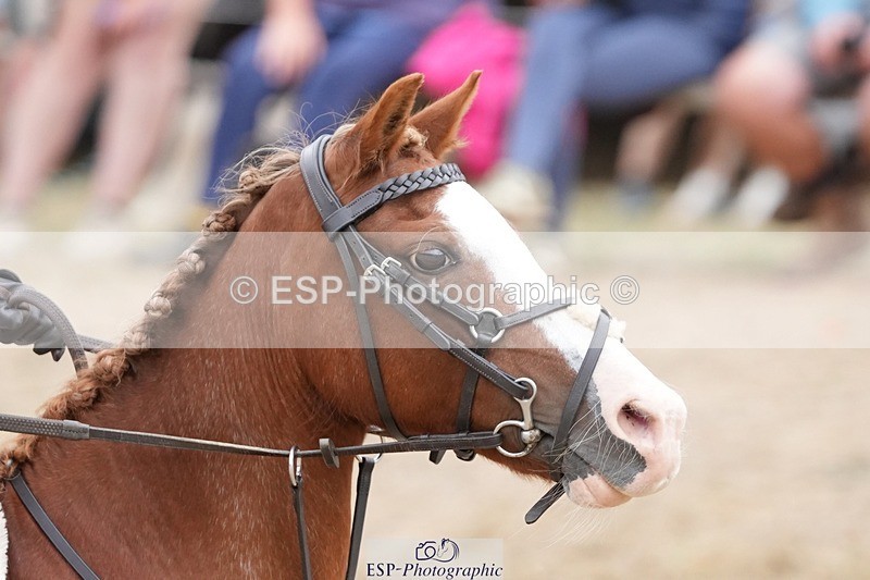 250820A-122025-06271 - Round 2, 11.45 to 12.30 End