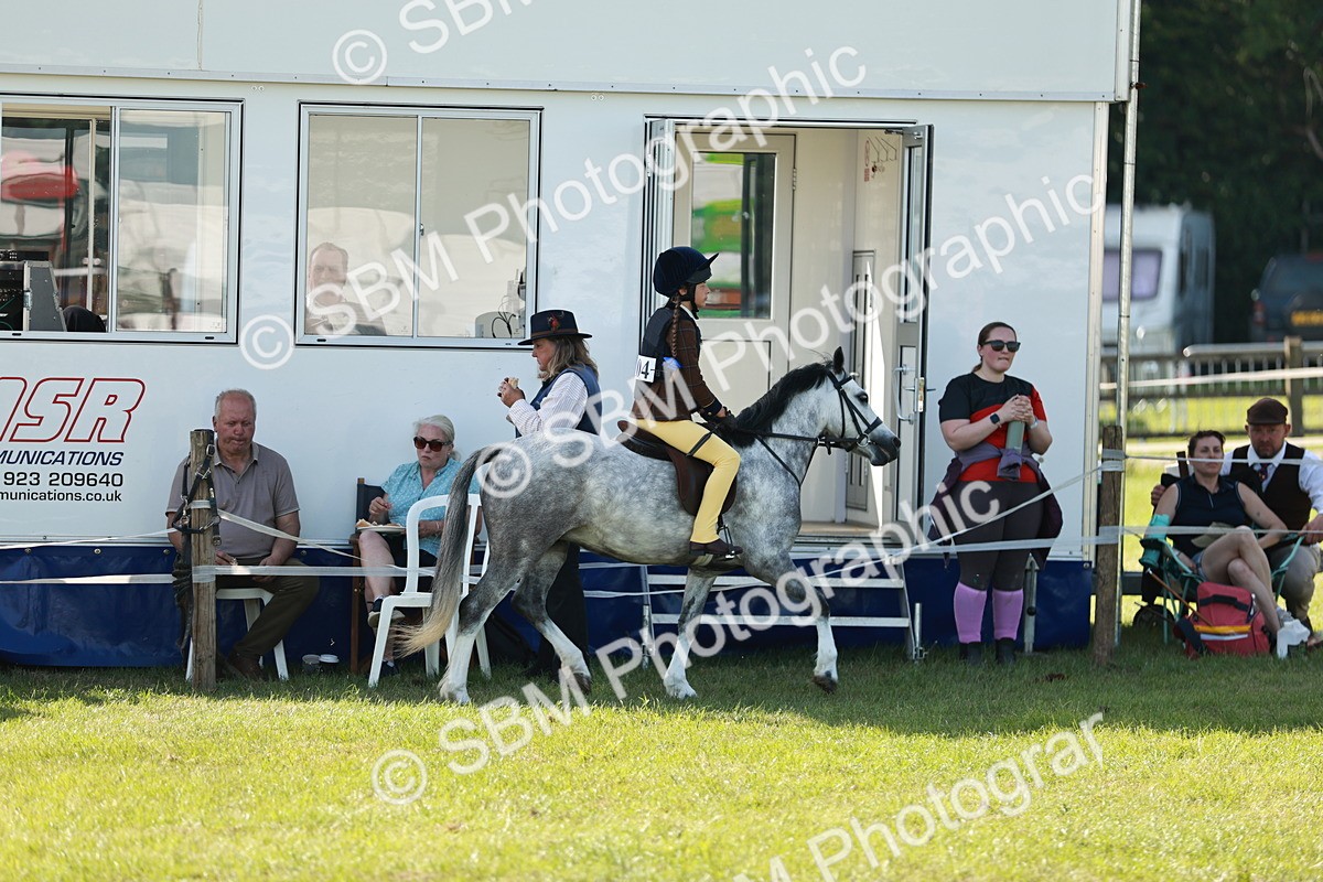 SBM_12583 - Class 106-107 - BSPS LIHS Working Sports Pony