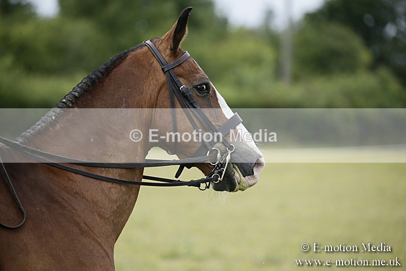 BVR160717-1655 - Side Saddle Classes 16/07/17