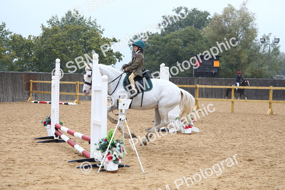 SBM_71466 - J4 - Mini Tour Junior Pony 45cm Championship