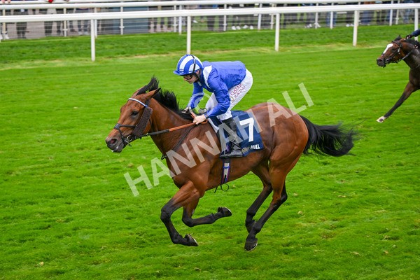 101025-Race 3-Mukhtalif-6439 - Race 3 William Hill Each Way Extra Handicap at York