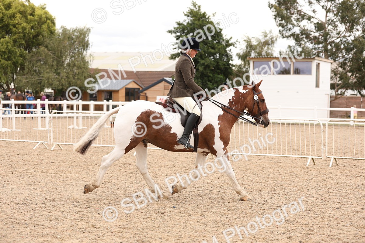 SBM_19502 - Class 215 - Ridden Show cob