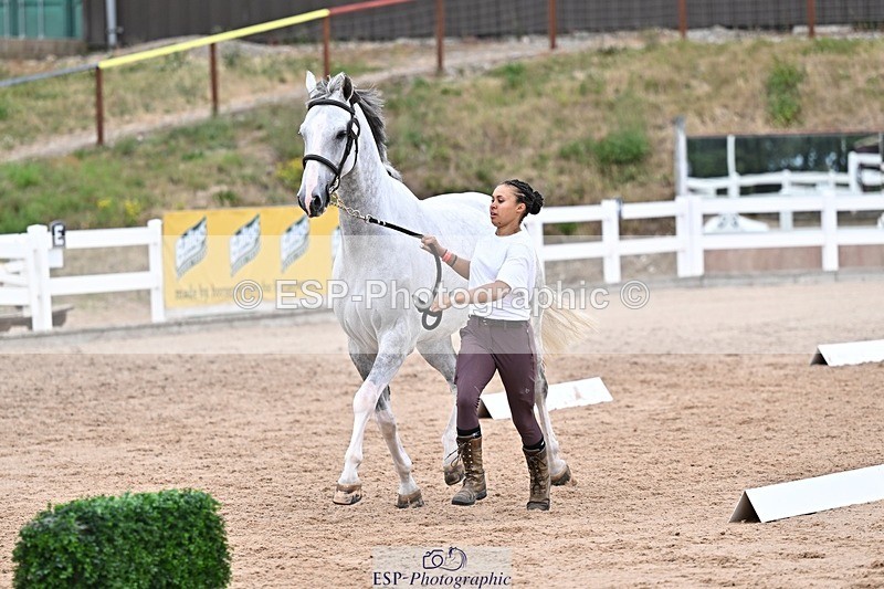 250716-170147-00798 - Trot Up 4.30 to 5.00