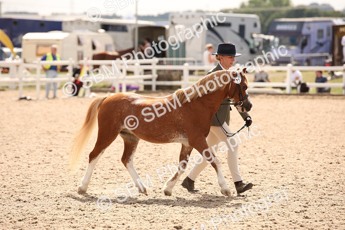 SBM_04613 - Class 20 IH Veteran