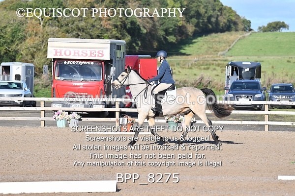 BPP_8275 - SHORT ARENA INTRO 1