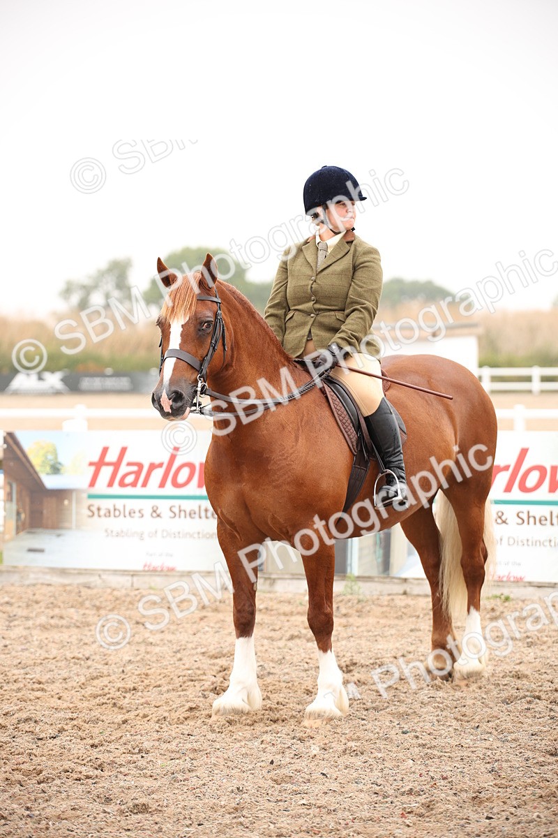SBM_19296 - Class 701 - Best Turned Out IH & Ridden