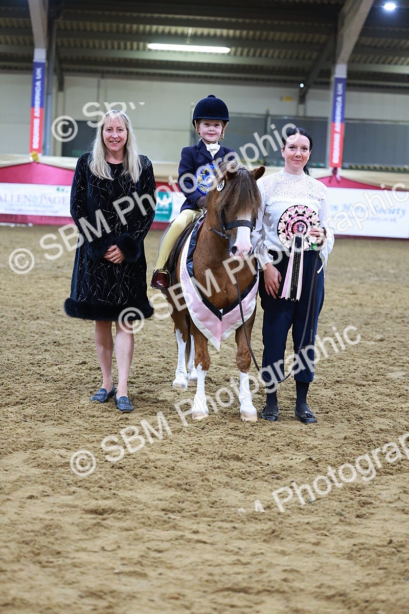 SBM_14676 - Class I - Ridden Pony Champ