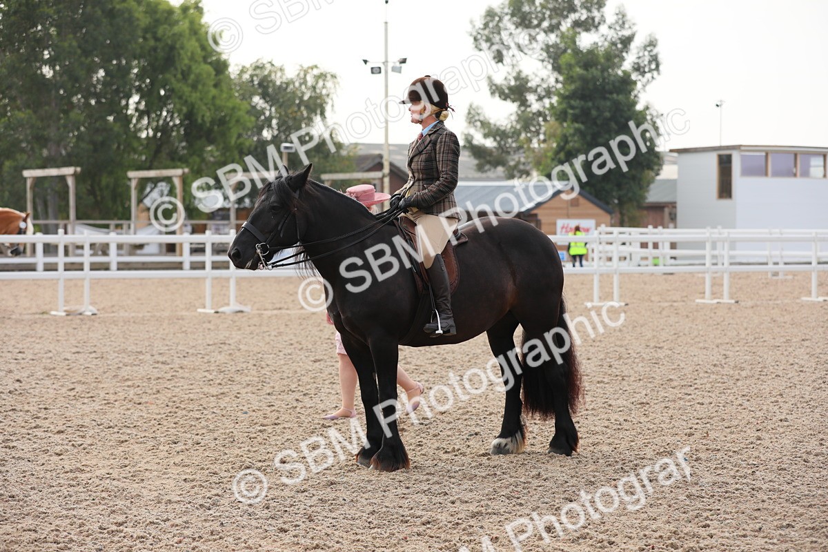 SBM_10047 - Class 302 Ridden M&M -Large Breeds
