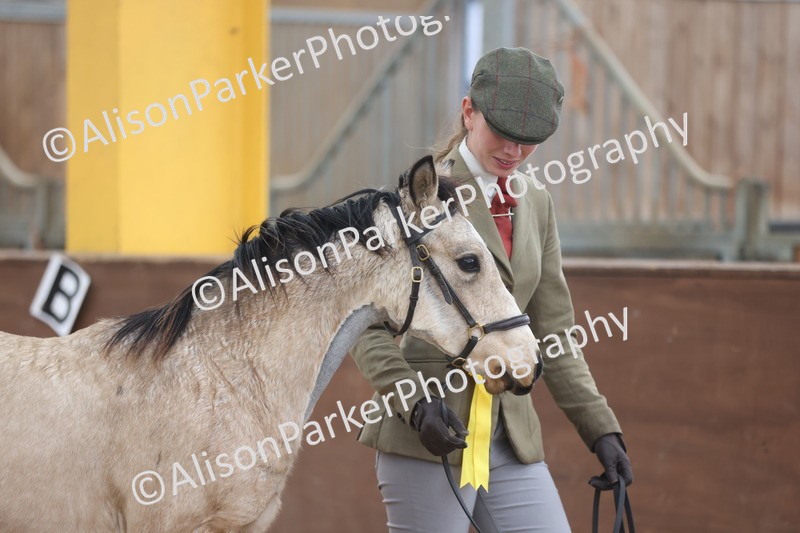 20251109-0823 - Class 24 - Foals