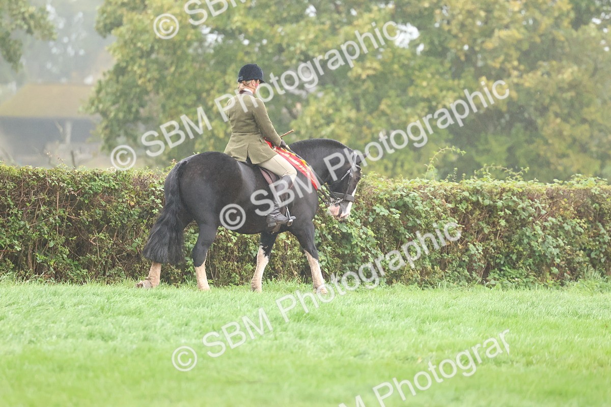 SBM_73174 - Super Supreme Championship(Sun)