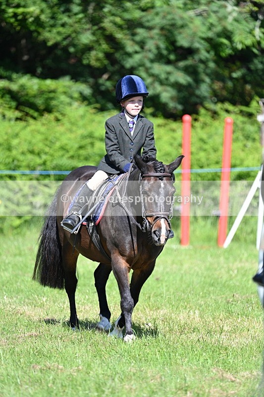 WJ7_0619 - Class 8 First Rally Pony