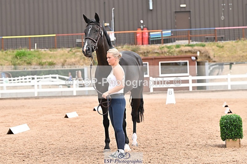 250716-144415-01344 - Trot Up 2.30 to 3.30