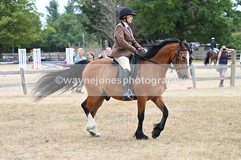 WJ7_0571 - Class 6 Ridden Mountain and Moorland