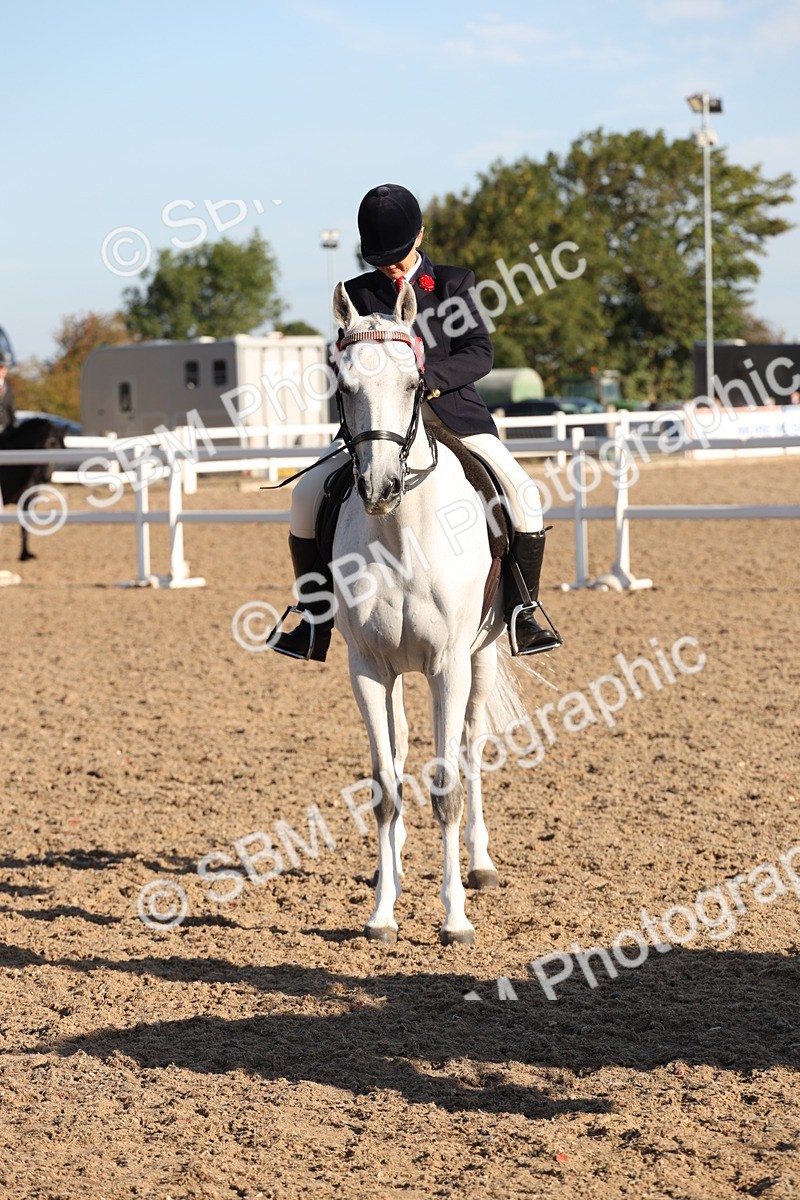 SBM_10846 - Class 202 - Best Turned Out - Ridden