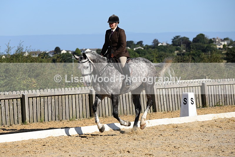 1X9A7676 - Class 8: Small Ridden Hunter