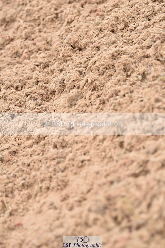 230531A-100226-00012 - Cls 1 British Novice & 90cm Open