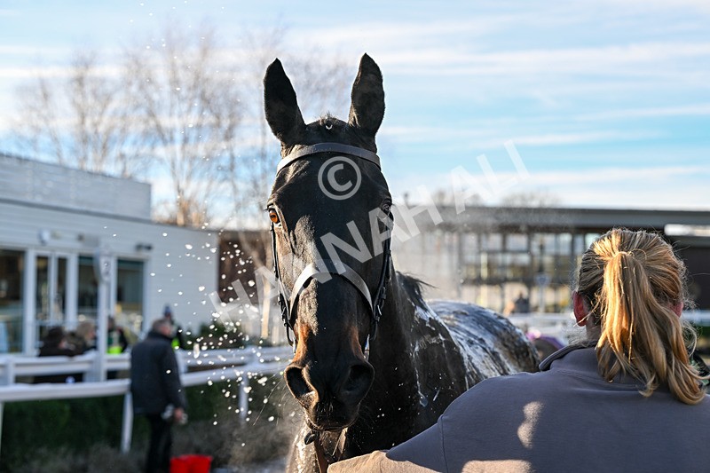 211125-Race 1-I See The Sea-6799 - Race 1