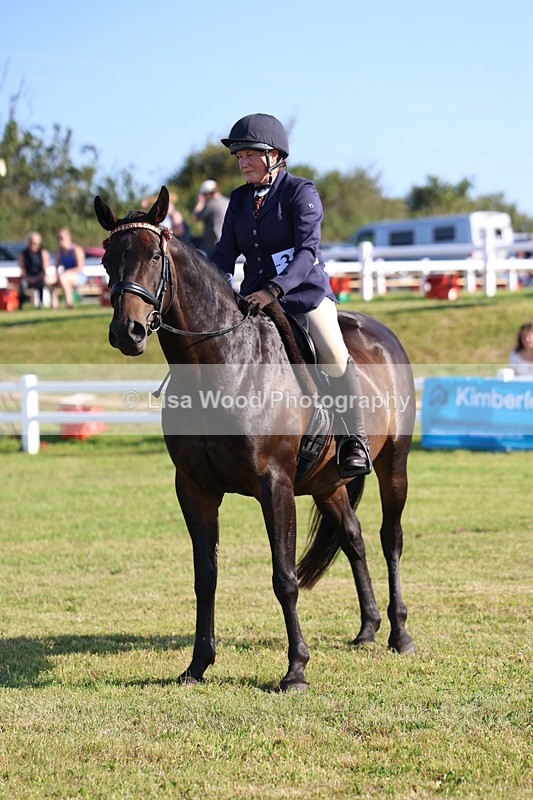 3E7A5466 - Class 2: Rising Star Large Hack/Riding Horse