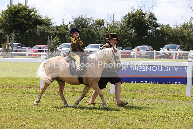 1X9A5047 - Class 36: NPS M&M Lead Rein