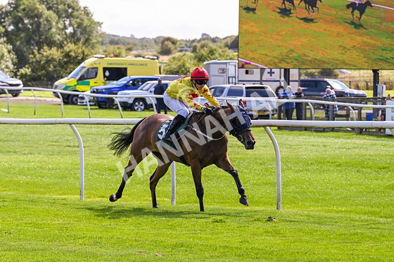080926-Race 1-Cheeky Chesca-1564 - Race 1 1.53pm Racing To School Nursery Handicap