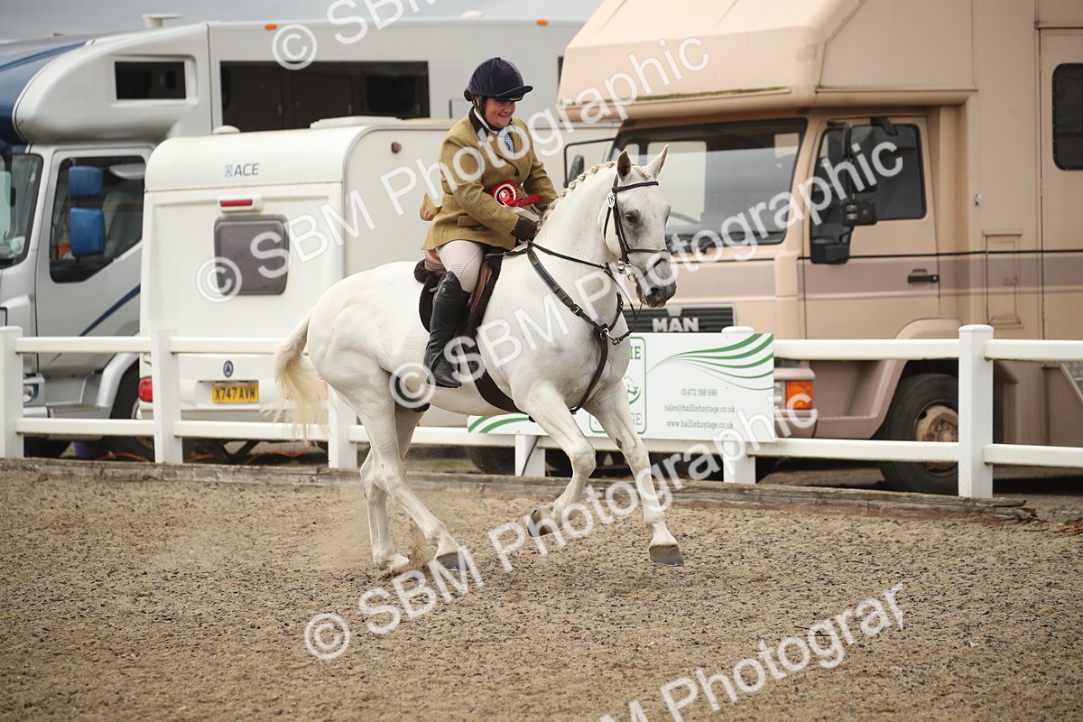 SBM_18480 - Class 510a - Working Veteran 90cm (15-19)