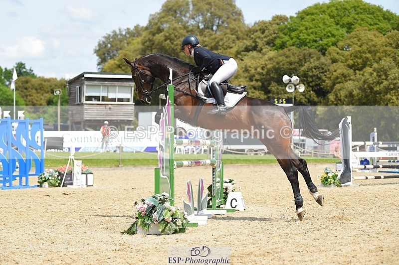 230528-125142-15874 - 357-VIVENDI_HERO-Saffron_Cresswell-SUNTrotUp+SJ